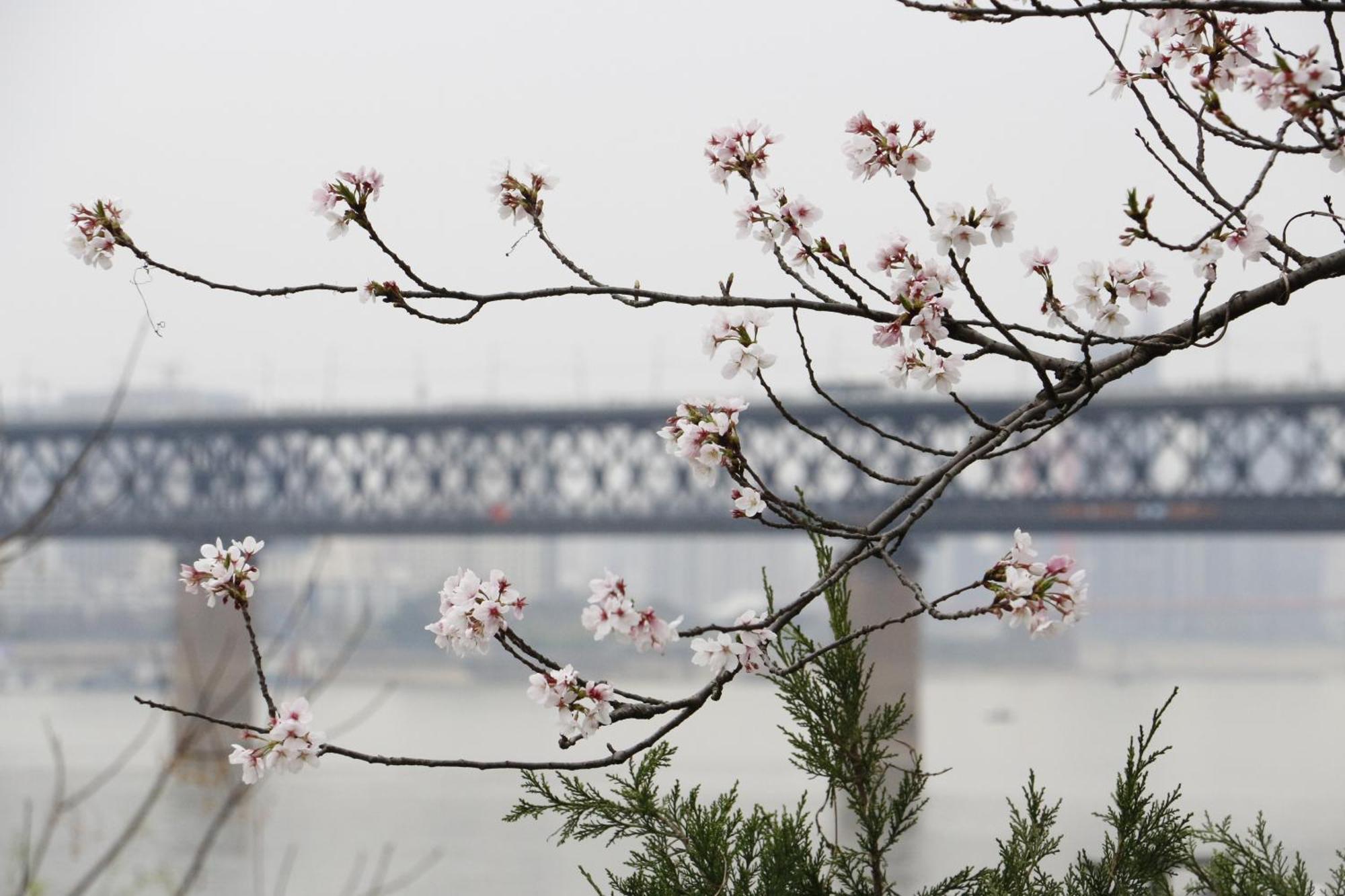 Holiday Inn Wuhan Riverside By Ihg Exterior photo